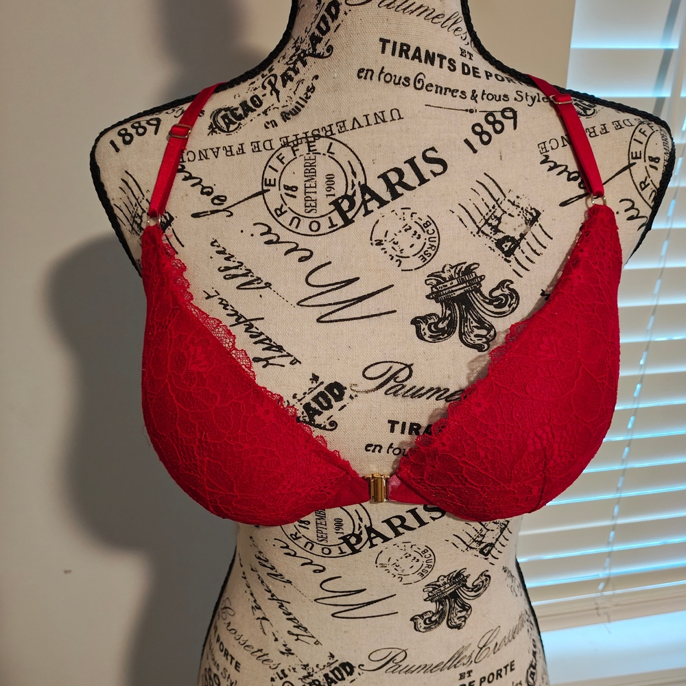 Elegant Red Lace Bralette
